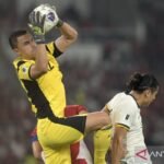 Cedera, Emil Audero Tidak Dapat Membela Timnas Indonesia Melawan Arab Saudi Cedera, Emil Audero Tidak Dapat Membela Timnas Indonesia Melawan Arab Saudi